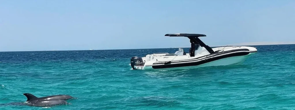 Speed Boat trip