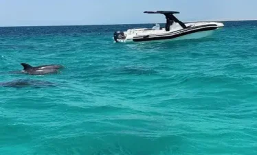 speed boat hurghada